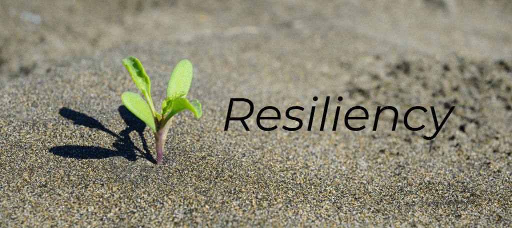 Entrepreneur Mastery Lab - Keys to Resiliency in Business and Sales